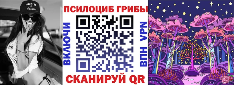 где продают наркотики  Порхов  Галлюциногенные грибы Magic Shrooms 