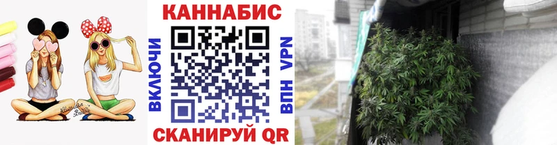 маркетплейс как зайти  где найти наркотики  Порхов  Марихуана конопля 